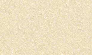 Шпалери Слов'янські Elegance В121 2350-08 1,06x10,05 м